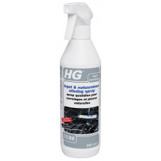 HG TEGEL/NATUURSTEEN SPRAY 500,000 ML