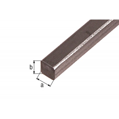 Higgins Ochtend gymnastiek Verbergen MASSIEF VIERKANT STAAL 10X10MM 200CM