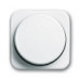 DRAAIKNOP TBV DIMMER WW BJ