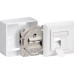 2X RJ 45 WANDCONTACTDOOS NETWERK IN/OPB