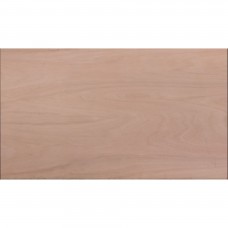 PLAAT MULTIPLEX HARDHOUT 5,5MM EXTERIEUR 244X122CM 244