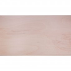 PLAAT MULTIPLEX POPULIEREN 15MM 244X122CM 244