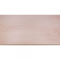 PLAAT MULTIPLEX POPULIEREN 18MM244X122CM 244