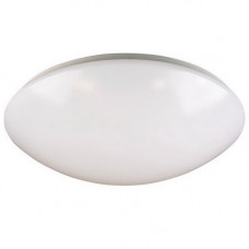 LED PLAFOND/WAND 22W 3000K - Ø 41CM WARM WIT BIGBRIGHT