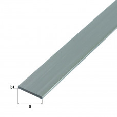 PLATPROFIEL ALUMINIUM BRUTE 20X2MM 100CM