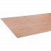 PLAAT MULTIPLEX HARDHOUT 3,6MM EXTERIEUR 244X122CM 244