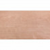 PLAAT MULTIPLEX HARDHOUT 3,6MM EXTERIEUR 244X122CM 244