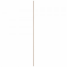 PLAAT MULTIPLEX HARDHOUT 12MM EXTERIEUR 244X122CM 244