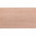 PLAAT MULTIPLEX HARDHOUT 12MM EXTERIEUR 244X122CM 244