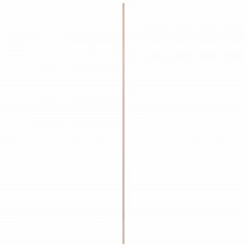 PLAAT MULTIPLEX OCOUME 22MM 250X122CM