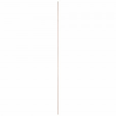 PLAAT MULTIPLEX OCOUME 6MM 250X122CM