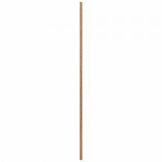 PLAAT MULTIPLEX OCOUME 4MM 250X122CM