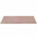 PLAAT MULTIPLEX OCOUME 18MM 250X122CM