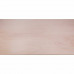 PLAAT MULTIPLEX POPULIEREN 6MM 244X122CM 244