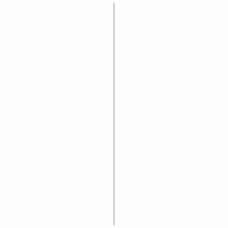 PLAAT MULTIPLEX POPULIEREN 9MM 244X122CM 244