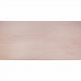 PLAAT MULTIPLEX POPULIEREN 9MM 244X122CM 244