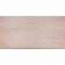 PLAAT MULTIPLEX POPULIEREN 18MM 244X122CM