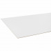 PLAAT MULTIPLEX POPULIEREN 6MM 2-ZIJDIG WIT GEGROND 244X122CM 244