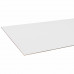 PLAAT MULTIPLEX POPULIEREN 9MM 2-ZIJDIG WIT GEGROND 244X122CM 244