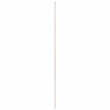 PLAAT MULTIPLEX POPULIEREN 12MM 244X122CM 244