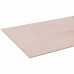 PLAAT MULTIPLEX POPULIEREN 12MM 244X122CM 244