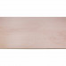 PLAAT MULTIPLEX POPULIEREN 12MM 244X122CM 244