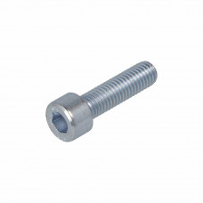 BINNENZESKANTBOUT VZ 8.8 CK IB-5 DIN912 M6X25 (200)