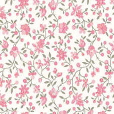 PLAKPLASTIC CLAIRE RETRO ROZE STIPPEN 45CMX2MT