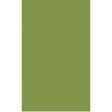 PLAKPLASTIC ADVOCADO GROEN 45CM X 2M