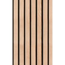 PLAKPLASTIC RIB WAND 45X200MCM