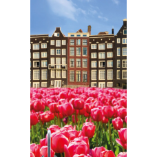 ELECTROSTATISCHE RAAMFOLIE DUTCH SPRING 67.5CM X 2M