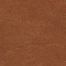 PLAKPLASTIC LEATHER 45CMX2 M