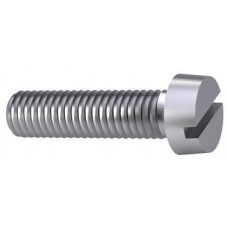 D84 4.8 EVZ CK-SCHR M2,5X20