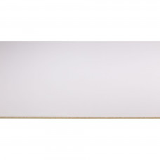 DEURPAN.FRIGOWIT/FRIGOWIT 8MM101,5X255CM 255