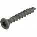STERKE ANTI-ROEST-SCHROEF TORX-20 4.0X30